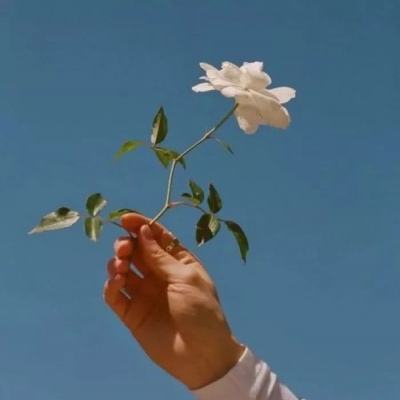 楚禾传百度版下载